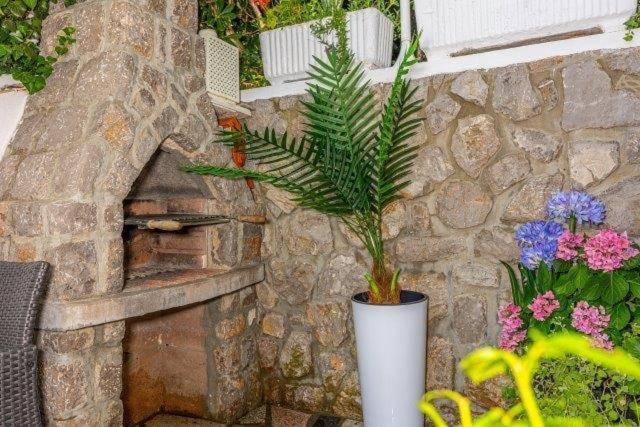 Villa Lara เคลโนวีซา ภายนอก รูปภาพ